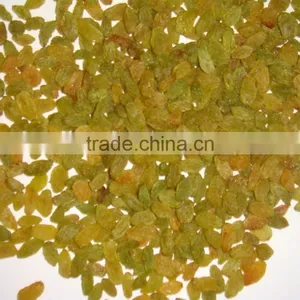 Raisin thumbnail-1
