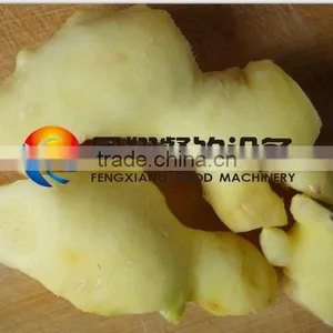 Ginger Washing and Peeling Machine Potato Brush Peeler Machine With Mix Brushes thumbnail-4