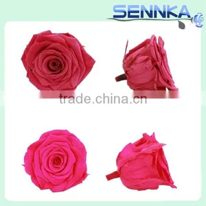 Preserved Fresh Flower Gift, Eternal Rose With Beautiful Box for Friends thumbnail-5
