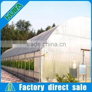 PE Material Film Poly House Plastic for Farm thumbnail-3