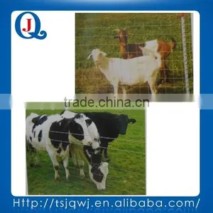 PIG FENCE thumbnail-1