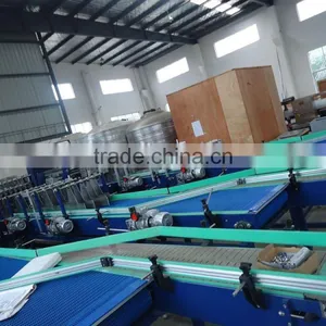 200-1000ml Bottle Washing ,filling ,capping Production Line thumbnail-3