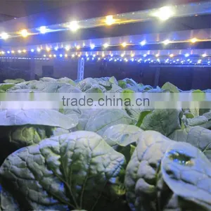 MarsHydro Red and Blue 4ft 18W Led Grow Light Bar for Mushroom Strawberry,Fruit Grow Led Bar thumbnail-1