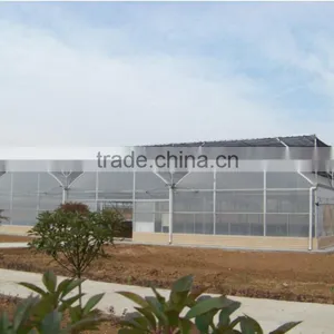 Agricultural Greenhouse With Film for Growing thumbnail-1