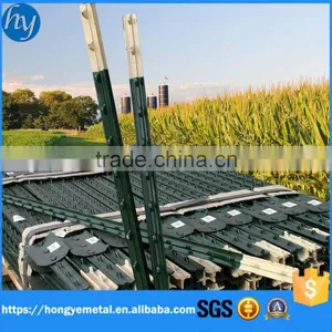 China Factory Vineyard Metal Trellis Post Fence Post Caps for Sale thumbnail-3