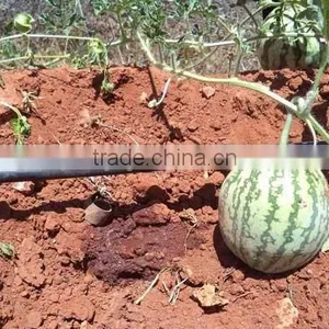 Drip Irrigation Tape Drip Irrigation Pipe thumbnail-1