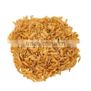 Eco-Friendly Dired Mealworms Wild Bird Feeding, Animal Feed Mealworm thumbnail-2