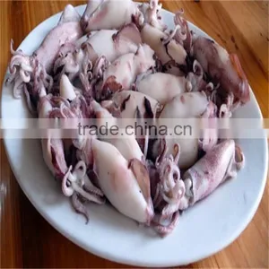 Frozen Baby Squid Loligo Japonica With Good Quality From Long Term Supplier thumbnail-1
