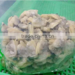 Fresh Frozen Pickling Short Neck Clam Meat thumbnail-1