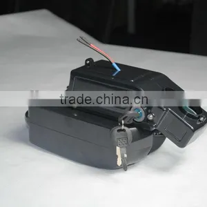 Frog Style 24V LiFePO4 Battery for Ebike thumbnail-4