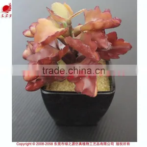 Cheap Wholesale Artificial Succulent Plants Tropical Plants thumbnail-3