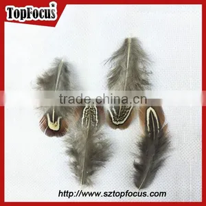 Lower Price Natural Synthetic Pheasant Feathers for Carnival Costumes thumbnail-1