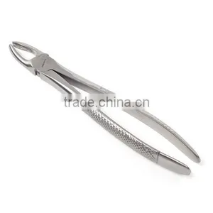 Dental Extracting Forceps thumbnail-1