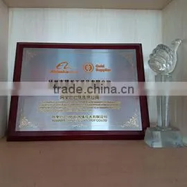 Yangzhou Tenglong Arts & Crafts Co., Ltd. company overview - view 2 thumbnail
