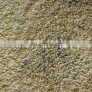 High Performance Soaked Groundnut Cleaning Machine thumbnail-5