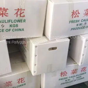 Fresh Cauliflower thumbnail-4
