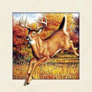 High Quality 3d Art Picture With Pet Lenticular 40x40 With Moving thumbnail-5