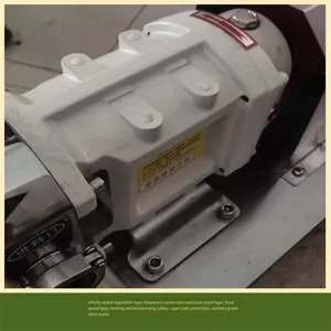 Lq3a Stainless Steel High-viscosity Pump, Screw Pump, Luoji Pump Industry Gear Speed-regulating Food Rotor Pump thumbnail-4