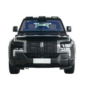 BYD Looks up at the Front Grille thumbnail-1