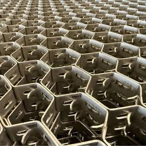Wholesale Inner Buckle Lock Riveting Standard Bonding Hole Factory Customization 1mx1m Hex Grid Tortoise Shell Net thumbnail-1