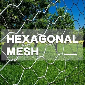 Fabrikpreis PVC-beschichtetes hexagonales Drahtgeflecht Hühnerkäfig-Drahtgeflecht thumbnail-2
