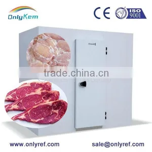 Blast Freezer for Fish Beef Meat Chicken thumbnail-2