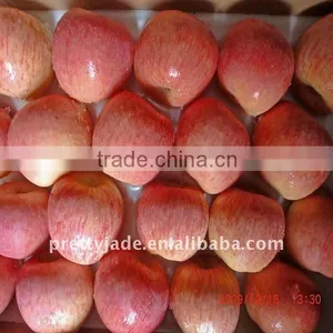 Premium Fuji Apple thumbnail-1