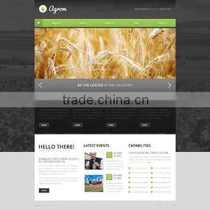 Website Design Services thumbnail-6