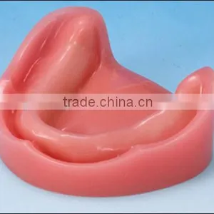 Model Implant Mandible for Practicing Implant thumbnail-1