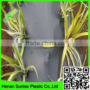 0.06 mm Thickness Black Plastic Garlic PE Mulch Film on Hot Selling thumbnail-6