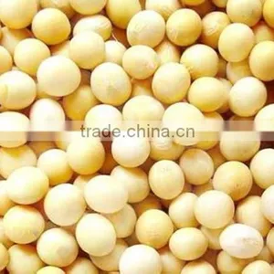 High Quality Hydrolyzed Soybean Lecithin Products thumbnail-1