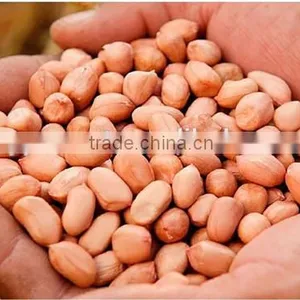 Cheap Peanut Seed Kernel for Sale From Factory thumbnail-1