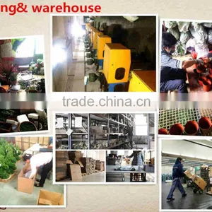 Heshan Senmao Crafts Co., Ltd. company overview - view 2 thumbnail