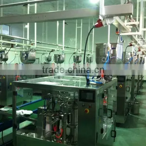Automatic Bag-given Packing Machine thumbnail-1