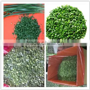 Chinese Leek/Chinese Chives thumbnail-1