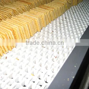 Stainless Steel Bakery Conveyor thumbnail-1