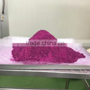 Dry Fruit Powder Export to US : Vacuum Freeze Dried Red Dragon Fruit Powder From Thailand thumbnail-1