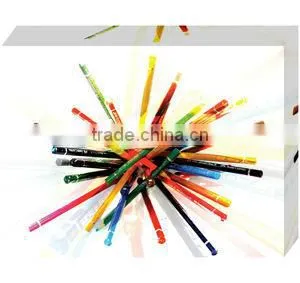HOT! Colorful Shunzhang Customize Photo Canvas Print thumbnail-1