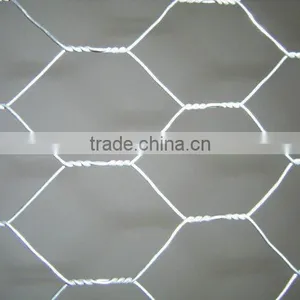 Hexagonal Wire Mesh(factory) thumbnail-1