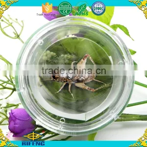 Factory Cheap Magnifier Educational Kit Insect Viewer thumbnail-2