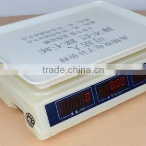 Best Sale Commerical Digital Dual Use Electronic Weighing Scale thumbnail-3