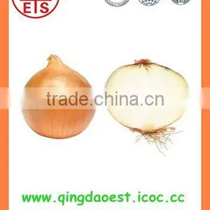 Bulk Chinese Best Quality Fresh Yellow Onion thumbnail-3
