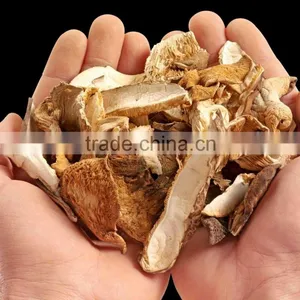 Hot Selling Chinese Dried Boletus thumbnail-1
