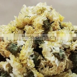 2015yr Huangshan Tribute Chrysanthemum thumbnail-5