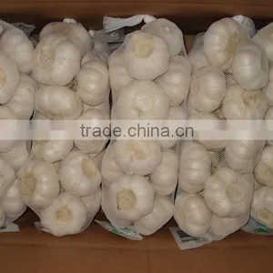 Pure White Garlic Packed in 10kgs/ctn thumbnail-2
