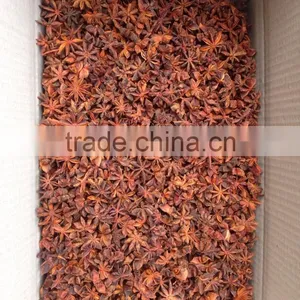 VIETNAMESE SUPPLIER OF BEST QUALITY AUTUMN STAR ANISEED thumbnail-2