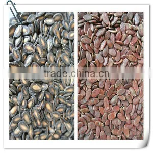Red Melon Seeds thumbnail-2