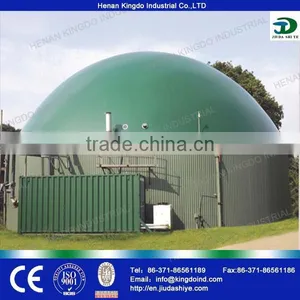 Biogas Plant Project, Small Biogas Plant and Big Biogas Plant for Industral Use thumbnail-6