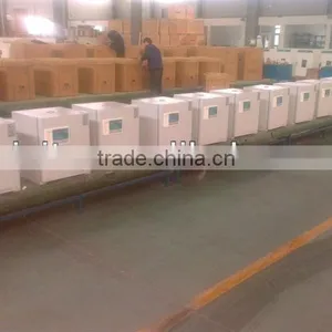 Electro-thermal Constant Temperature Incubator thumbnail-3