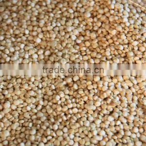 Quinoa Seeds Sorting Machine Color Sorter Machine thumbnail-3